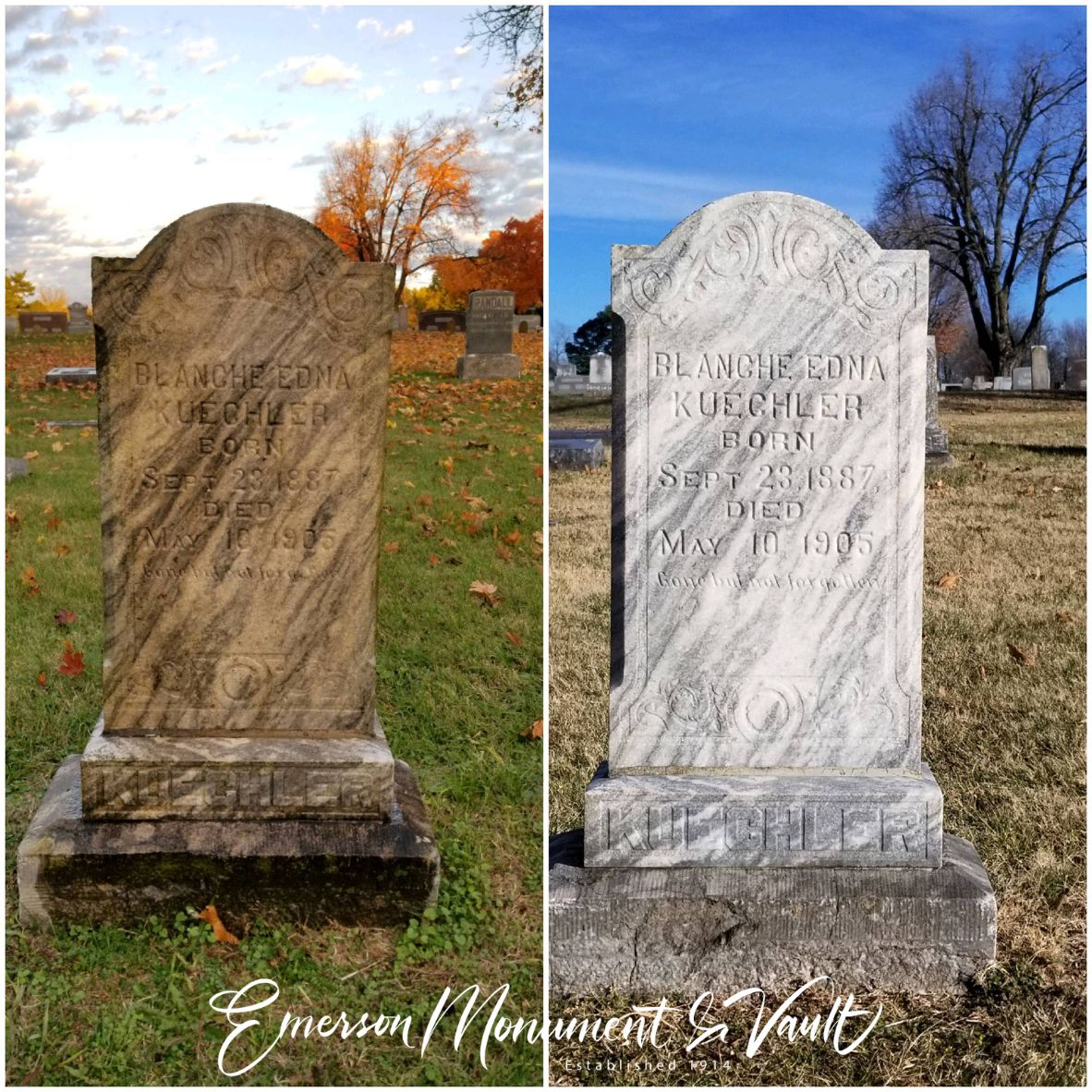 Emerson Monument Company D2 Memorial Headstone Cleaner